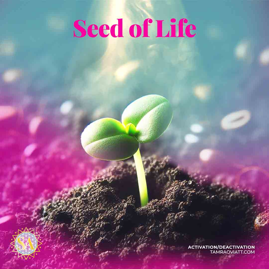 Seed of Life