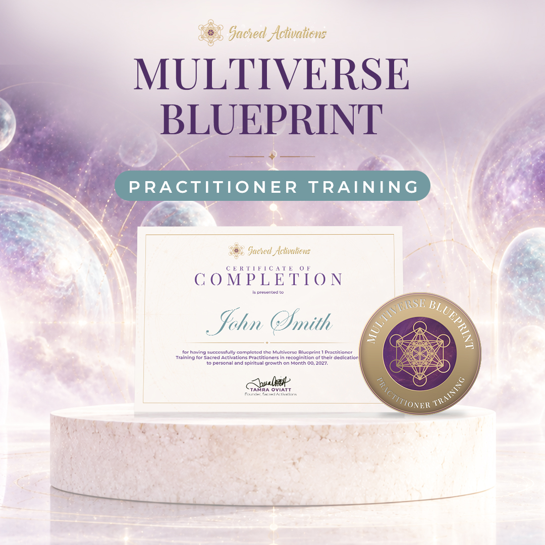 Multiverse Blueprint Training