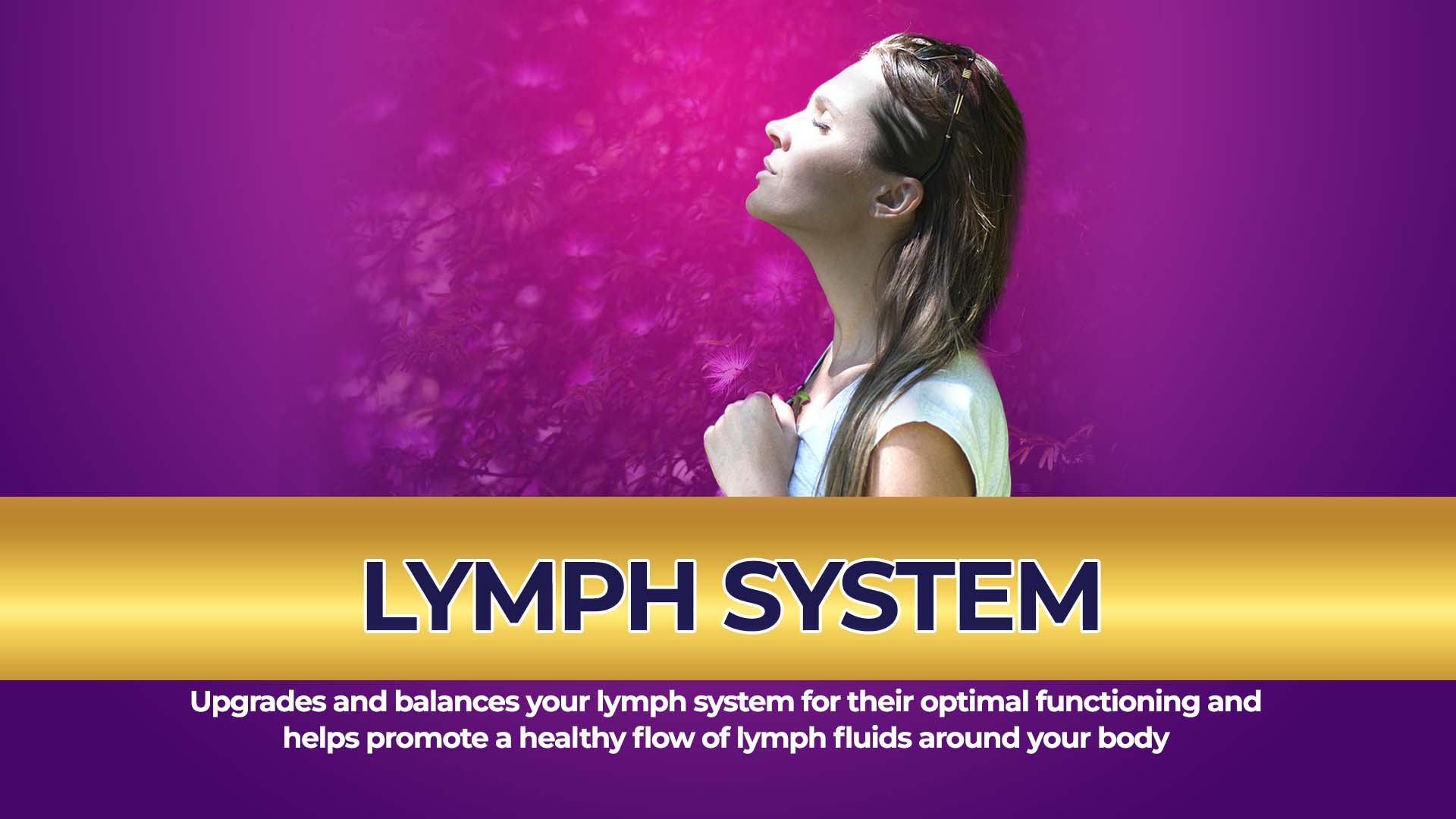 Lymph System